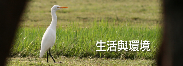 議題照片 - 生活與環境